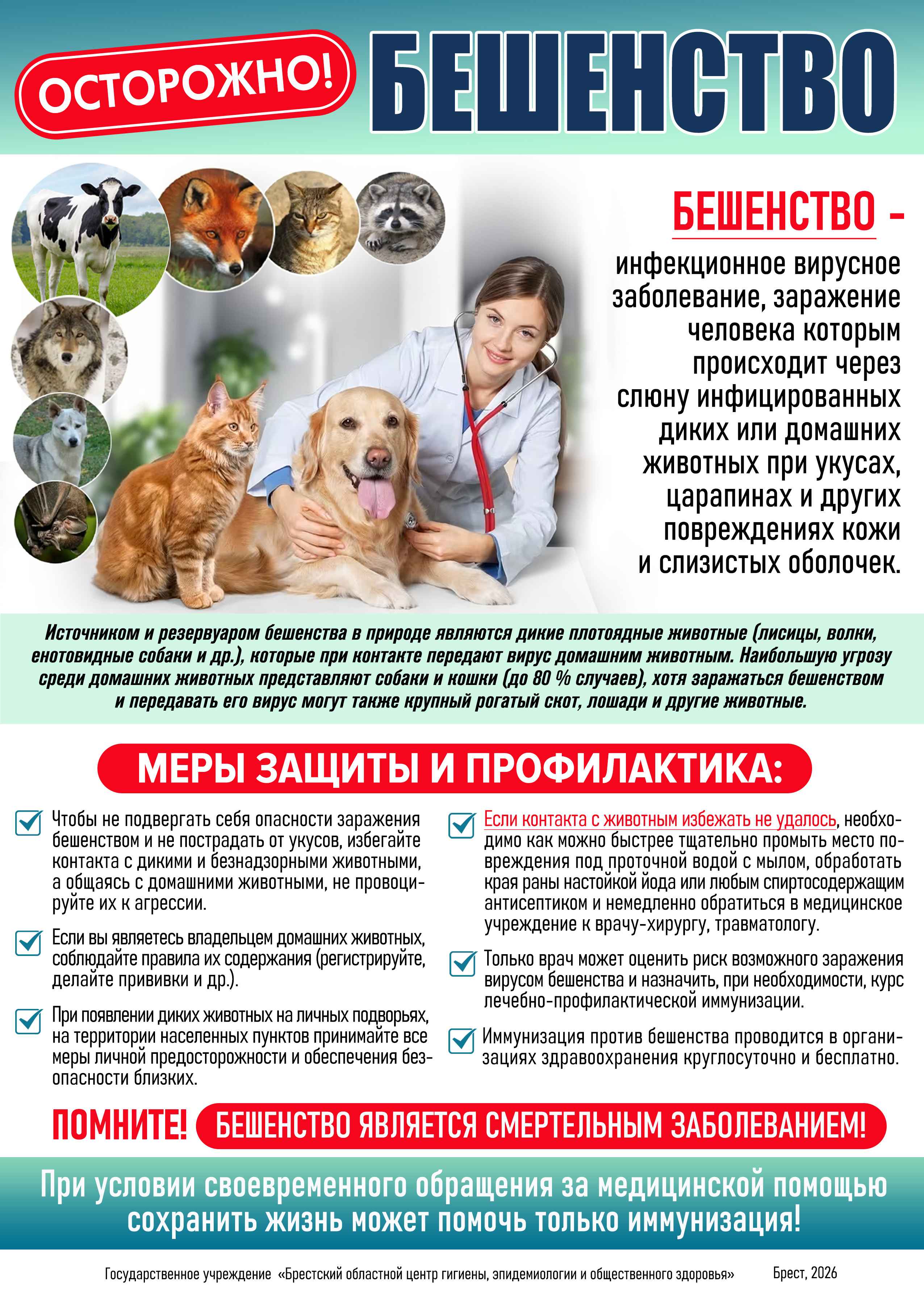 beshenstvo01.jpg