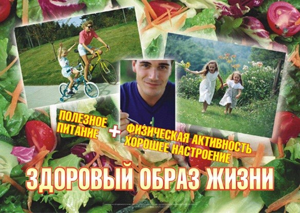 zdorobrziz3.jpg